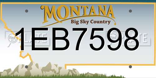1EB7598 Montana License Plate