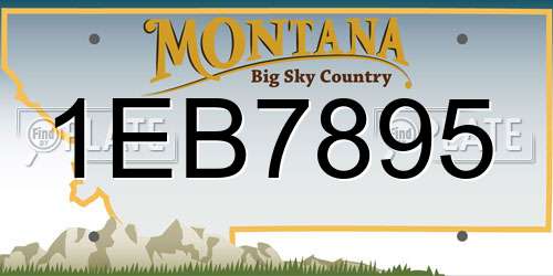 1EB7895 Montana License Plate