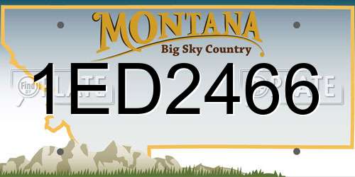 1ED2466 Montana License Plate