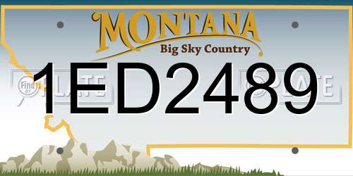 1ED2489 Montana License Plate