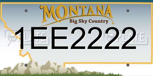 1EE2222 Montana License Plate