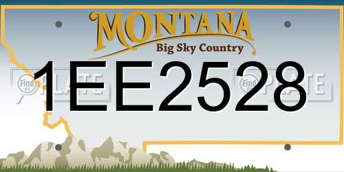 1EE2528 Montana License Plate