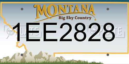 1EE2828 Montana License Plate