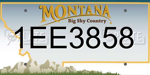 1EE3858 Montana License Plate