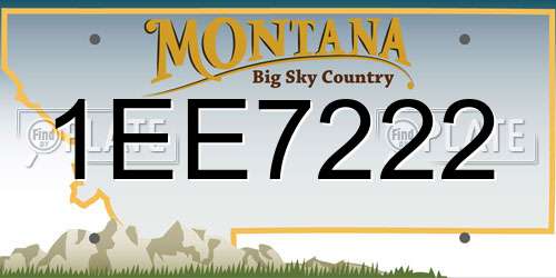 1EE7222 Montana License Plate