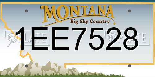 1EE7528 Montana License Plate