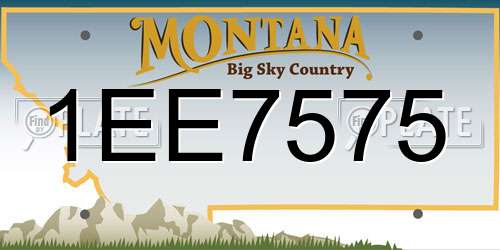 1EE7575 Montana License Plate