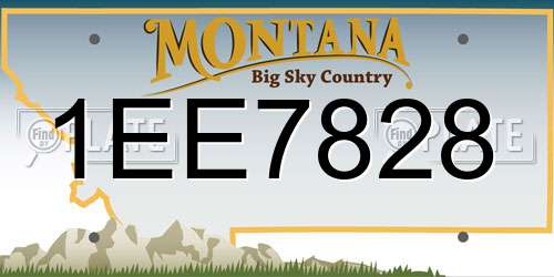 1EE7828 Montana License Plate