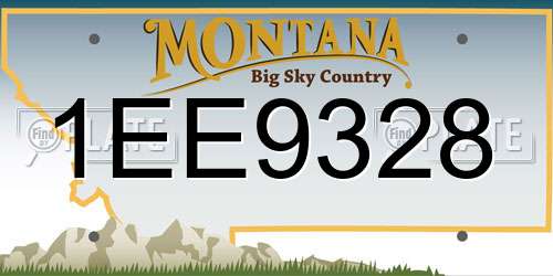 1EE9328 Montana License Plate
