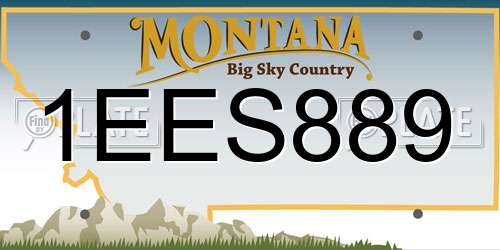 1EES889 Montana License Plate