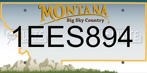 1EES894 Montana License Plate