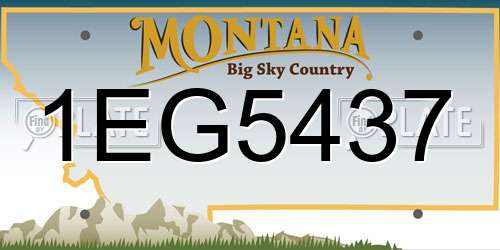 1EG5437 Montana License Plate