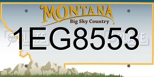 1EG8553 Montana License Plate