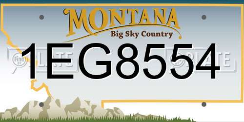 1EG8554 Montana License Plate