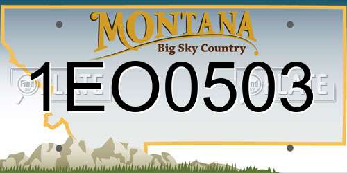 1EO0503 Montana License Plate
