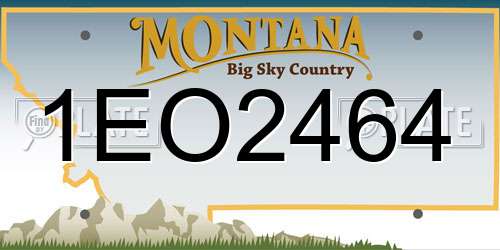 1EO2464 Montana License Plate