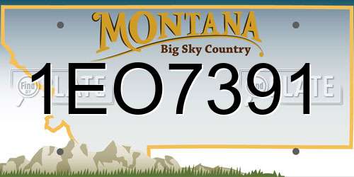 1EO7391 Montana License Plate