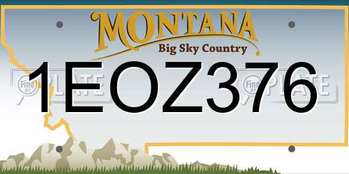 1EOZ376 Montana License Plate