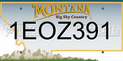 1EOZ391 Montana License Plate