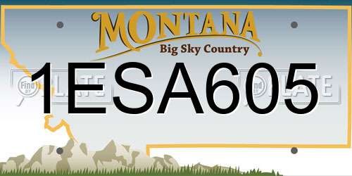 1ESA605 Montana License Plate