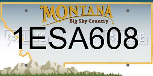 1ESA608 Montana License Plate