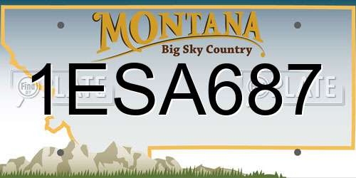 1ESA687 Montana License Plate