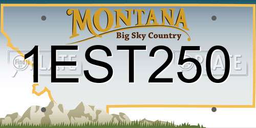 1EST250 Montana License Plate