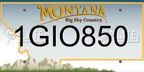 1GIO850 Montana License Plate
