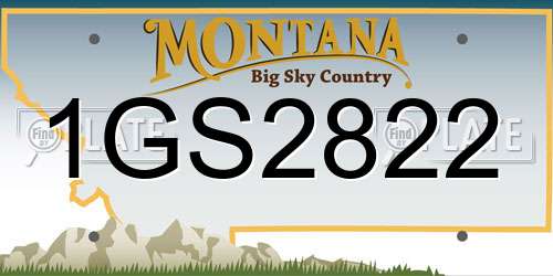 1GS2822 Montana License Plate