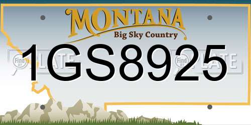 1GS8925 Montana License Plate