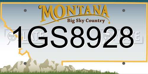 1GS8928 Montana License Plate
