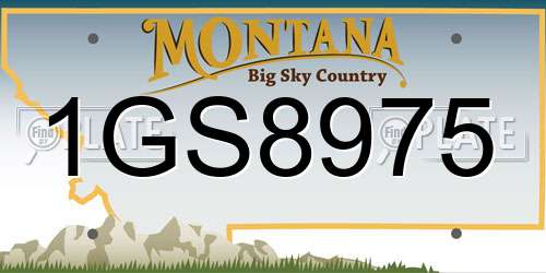 1GS8975 Montana License Plate