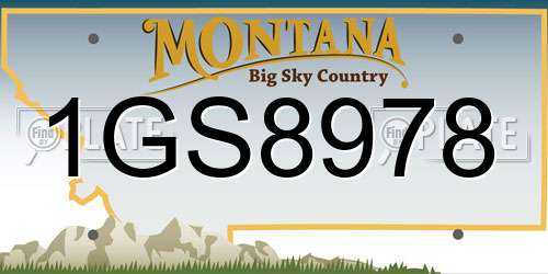 1GS8978 Montana License Plate