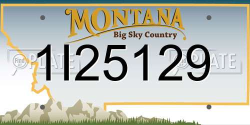 1I25129 Montana License Plate