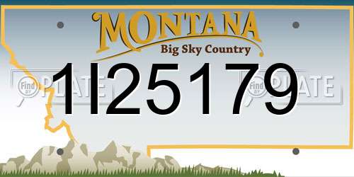 1I25179 Montana License Plate