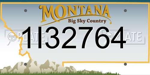 1I32764 Montana License Plate