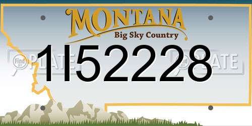 1I52228 Montana License Plate