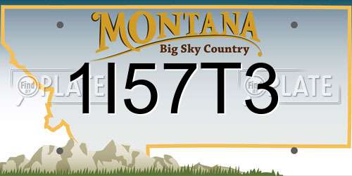 1I57T3 Montana License Plate