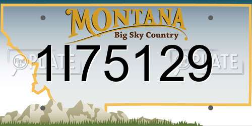 1I75129 Montana License Plate