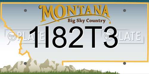 1I82T3 Montana License Plate