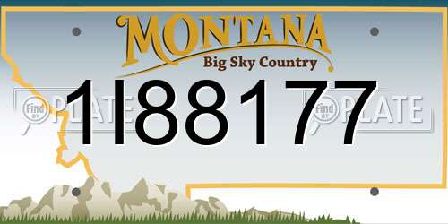 1I88177 Montana License Plate