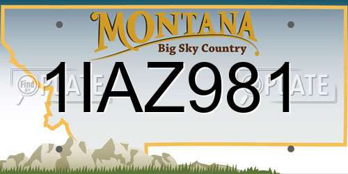 1IAZ981 Montana License Plate