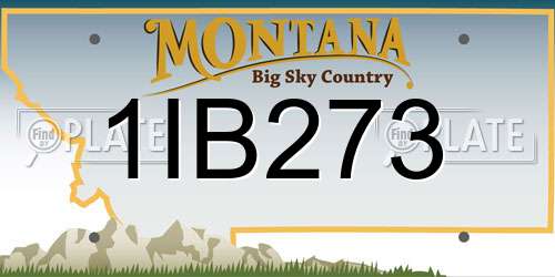 1IB273 Montana License Plate