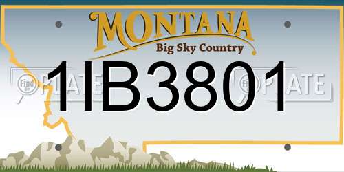 1IB3801 Montana License Plate