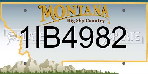 1IB4982 Montana License Plate
