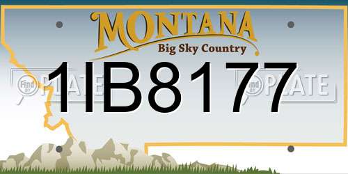 1IB8177 Montana License Plate