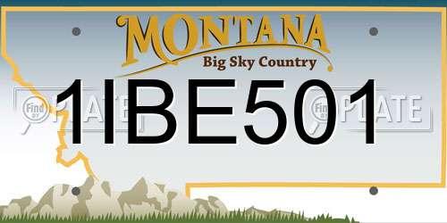 1IBE501 Montana License Plate