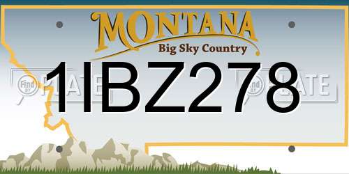 1IBZ278 Montana License Plate