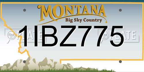 1IBZ775 Montana License Plate