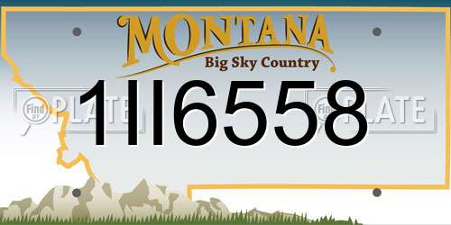 1II6558 Montana License Plate